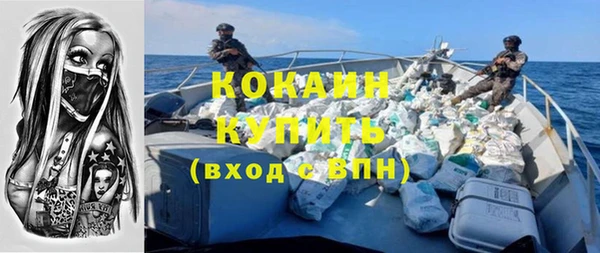 шишки Волосово