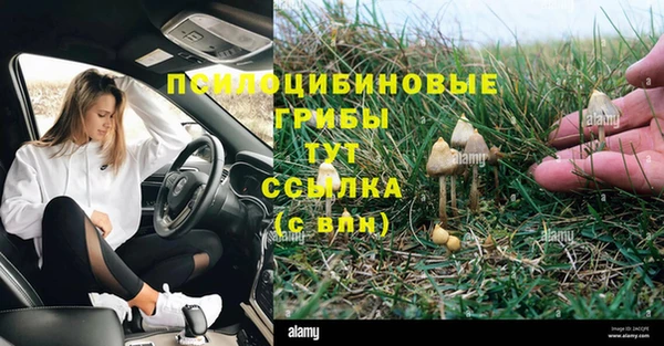 альфа пвп Верхнеуральск